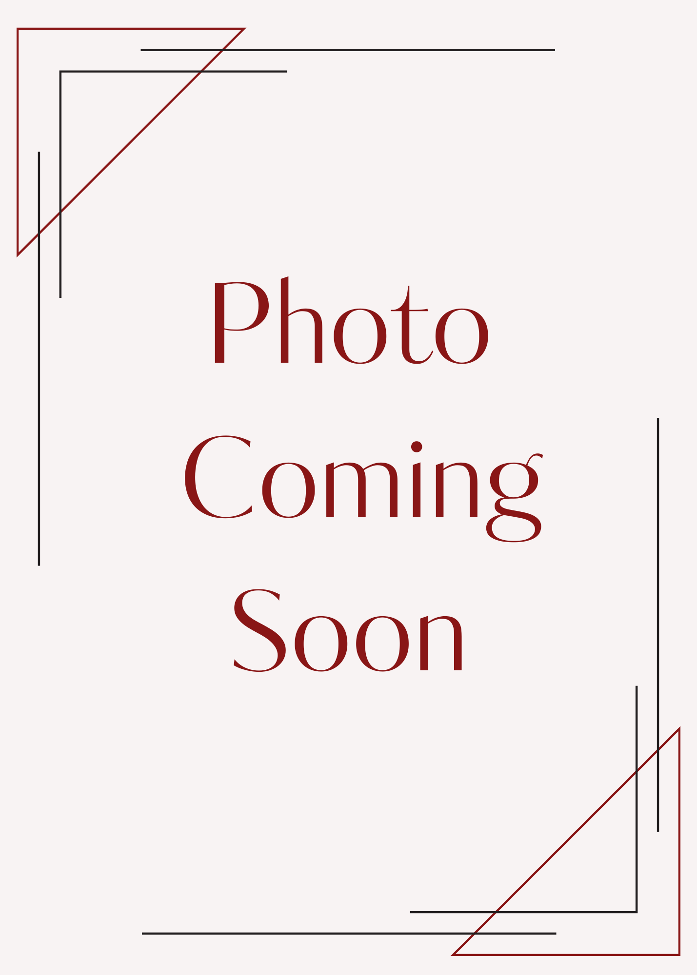 Apres Denim Maxi Skirt